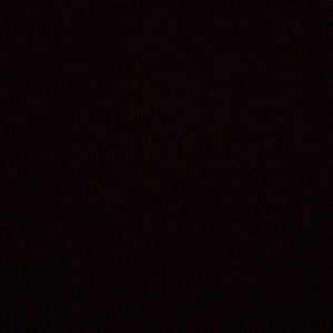 Meet your Posher, Alissa